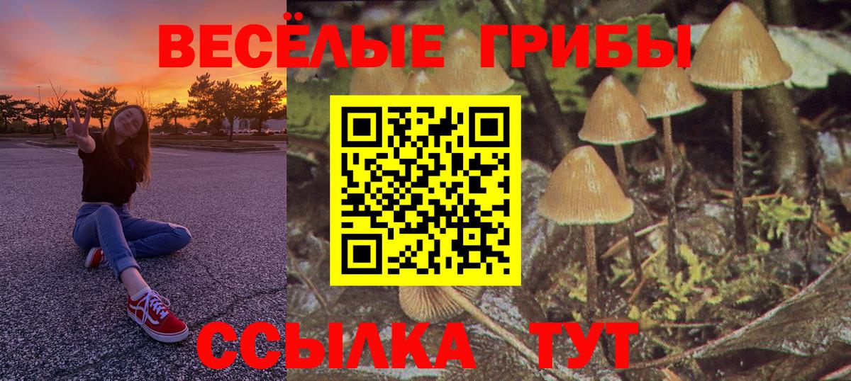 Псилоцибиновые грибы Magic Shrooms  Вход с VPN  Копейск 