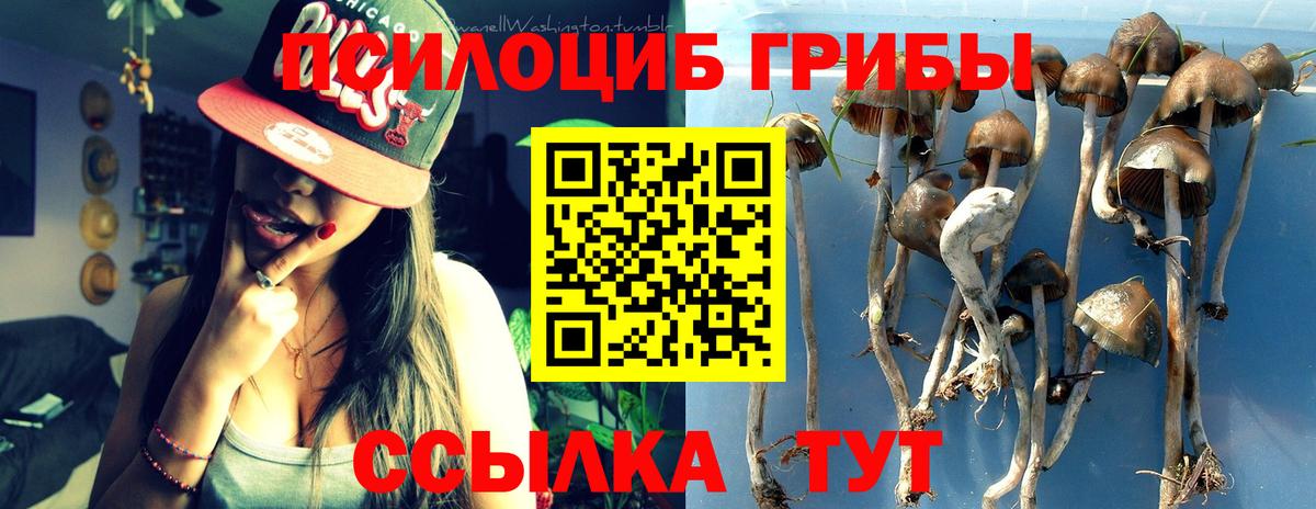 Псилоцибиновые грибы ЛСД Копейск